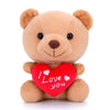 Plush Teddy Bear