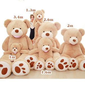 Empty Teddy Bear